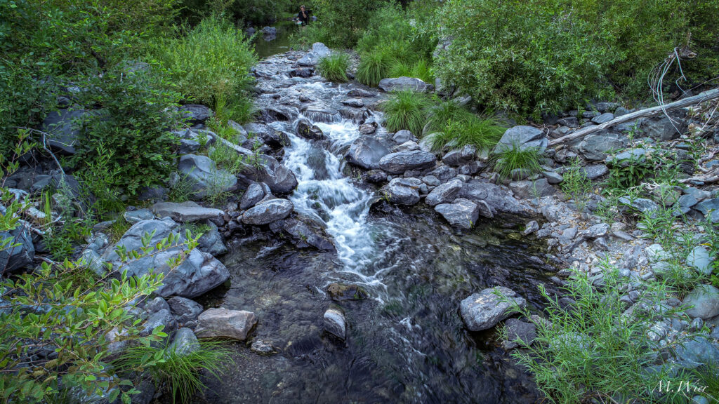 Eel River | Michael Wier CalTrout