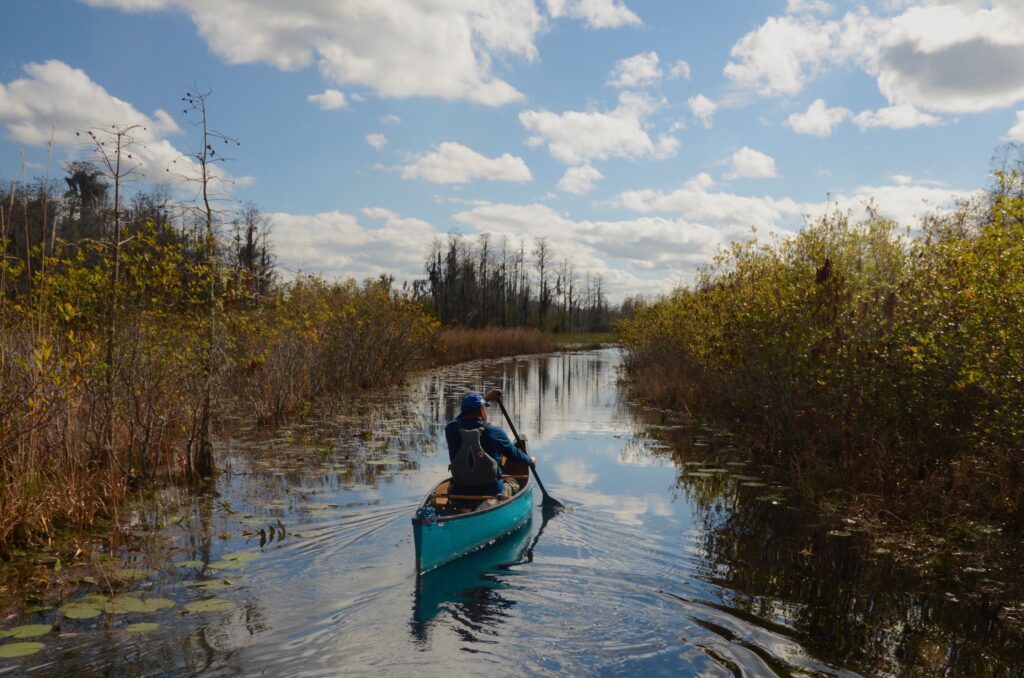 Okefenokee Swamp | Joe Cook