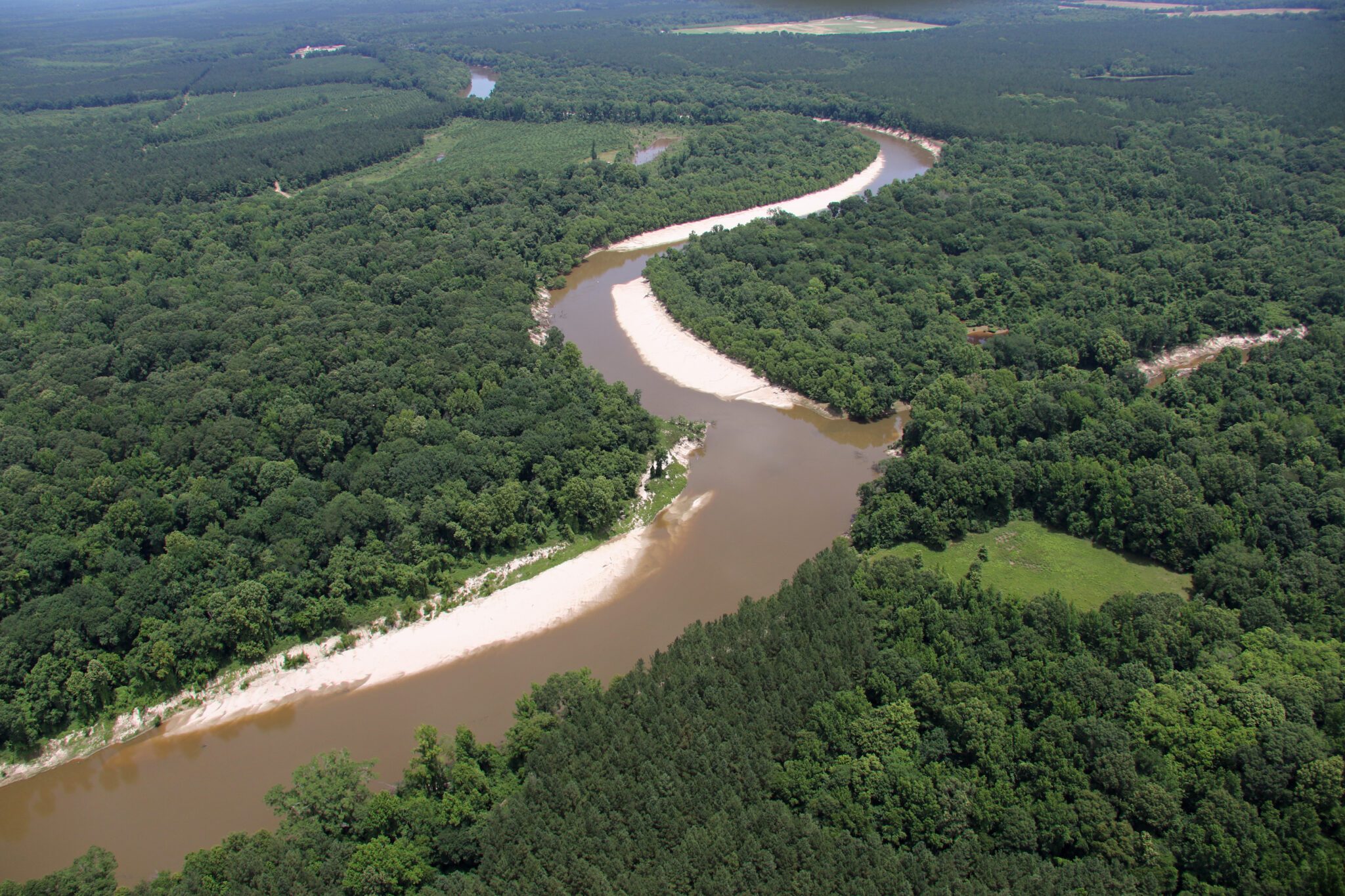 Pearl River – America's Most Endangered Rivers® of 2025