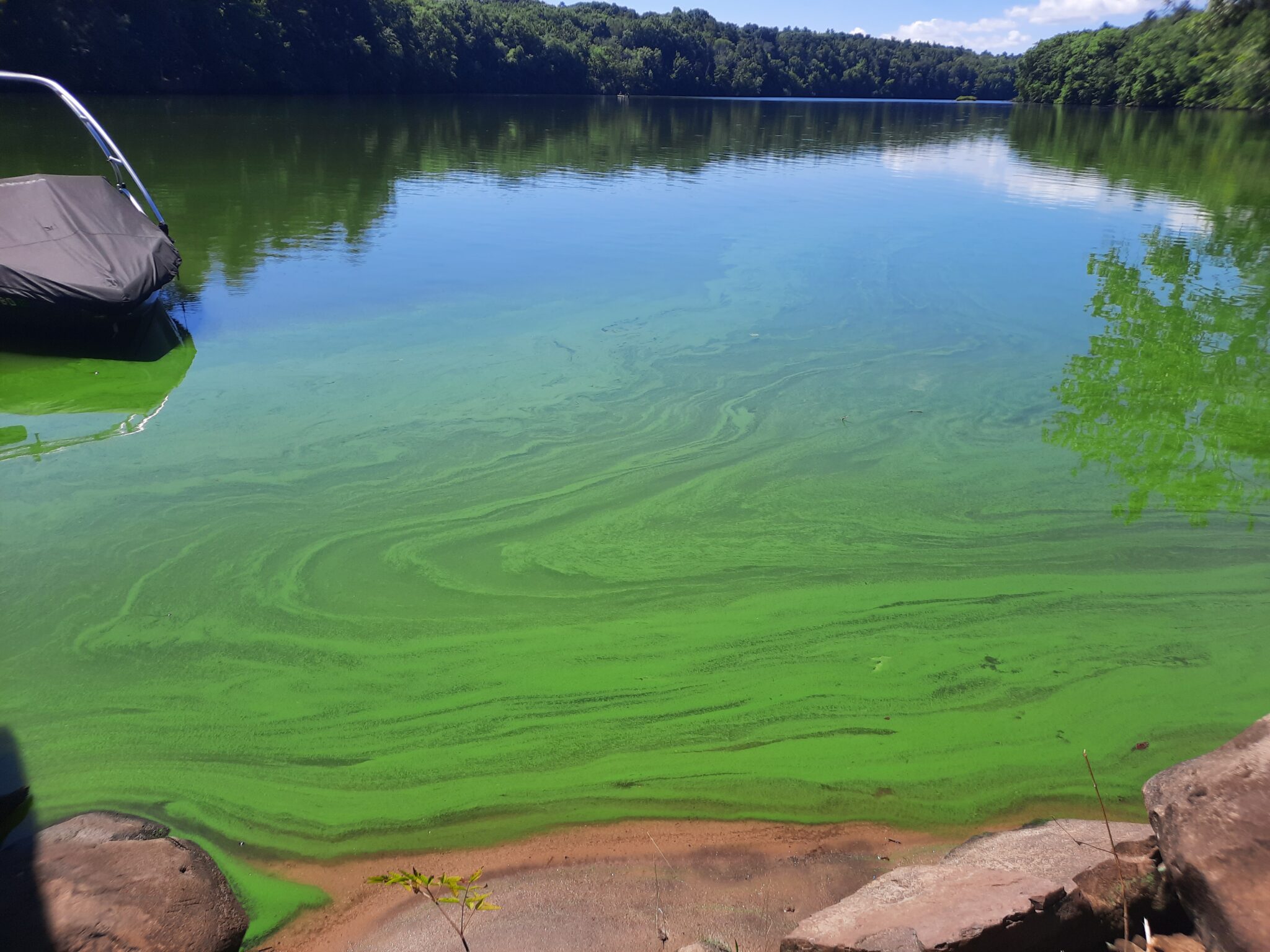 Farmington River – America's Most Endangered Rivers® of 2024