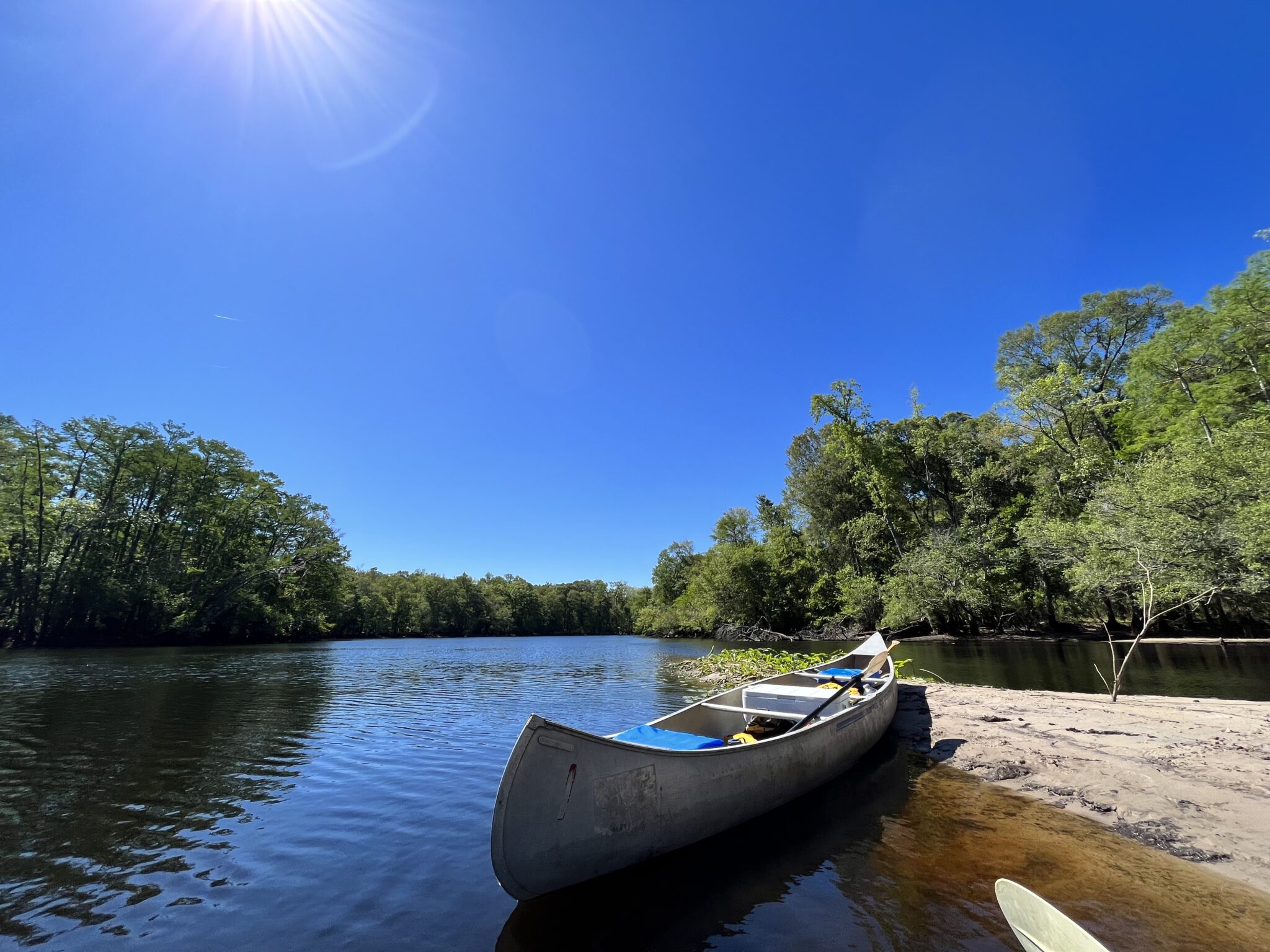 Little Pee Dee River – America's Most Endangered Rivers® of 2024