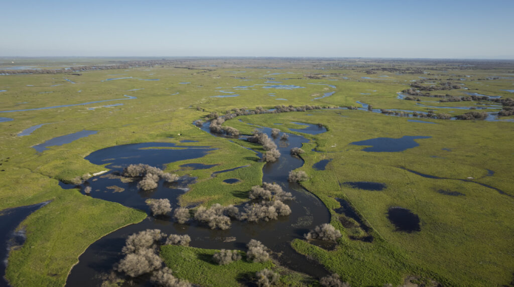 San Joaquin River, California | Daniel Nylen