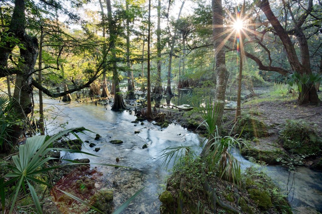 Suwannee River, Florida | John Moran
