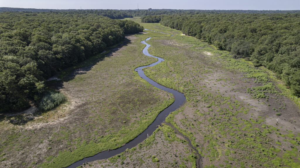 Nissequogue River, New York | Stephen Borghardt