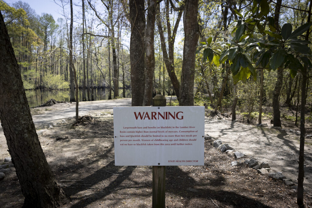 Lumber River, North Carolina | SELC